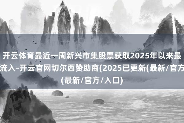 开云体育最近一周新兴市集股票获取2025年以来最大的周流入-开云官网切尔西赞助商(2025已更新(最新/官方/入口)