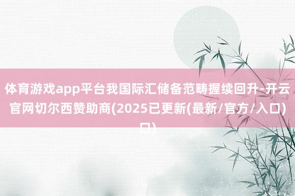 体育游戏app平台我国际汇储备范畴握续回升-开云官网切尔西赞助商(2025已更新(最新/官方/入口)