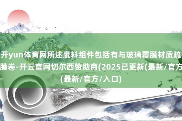 开yun体育网所述裹料组件包括有与玻璃覆膜材质疏通的薄膜卷-