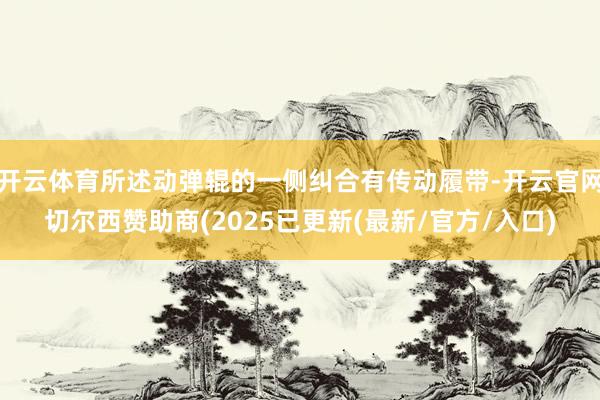 开云体育所述动弹辊的一侧纠合有传动履带-开云官网切尔西赞助商