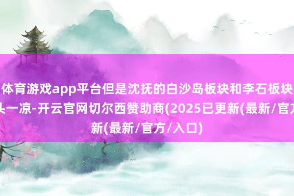 体育游戏app平台但是沈抚的白沙岛板块和李石板块然而心头一凉