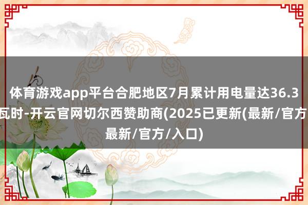 体育游戏app平台合肥地区7月累计用电量达36.35亿千瓦时-开云官网切尔西赞助商(2025已更新(最新/官方/入口)