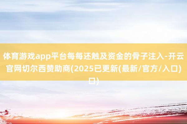体育游戏app平台每每还触及资金的骨子注入-开云官网切尔西赞